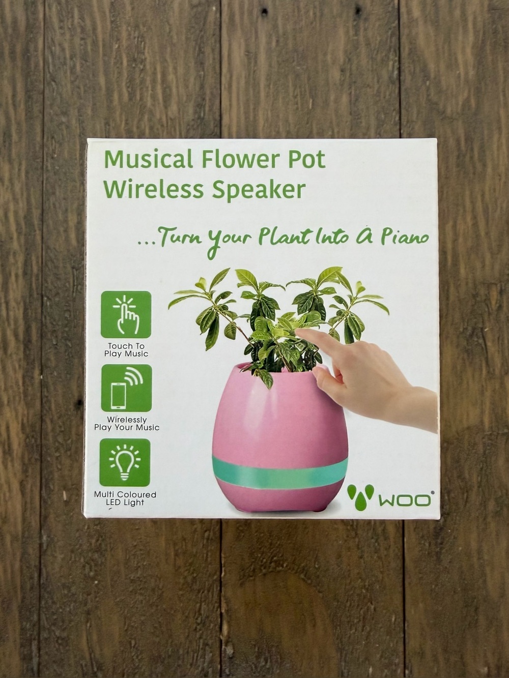 Musical Flower Pot Wireless Speaker - Pink